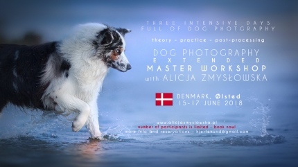 Dog Photography Workshop Denmark 2018 June
