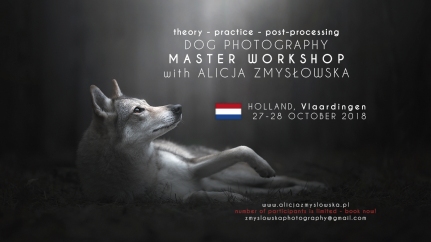 Dog Photography Workshop Holland 2018 October