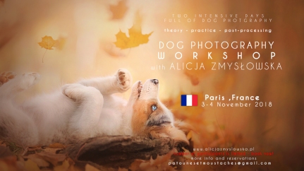 Dog Photography Workshop France, Paris 2018